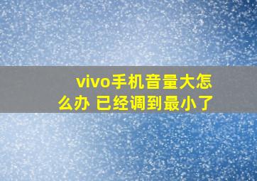 vivo手机音量大怎么办 已经调到最小了